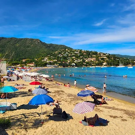 T2 A Saint Clair, Pres De La Plage, Avec Parking, Ideal Pour 4 - Fr-1-803-95 Apartamento *